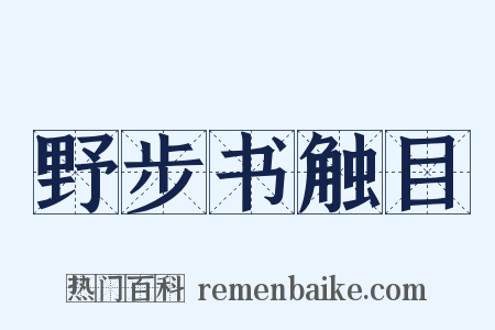 野步书触目是什么意思的图片